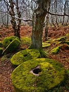 1315 Bolehill Chris Gilbert, Ravenseye Gallery, Peak District, Photographs, Courses
